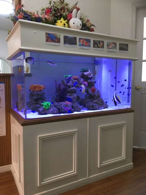 120cmのデザイン水槽 中待合室
