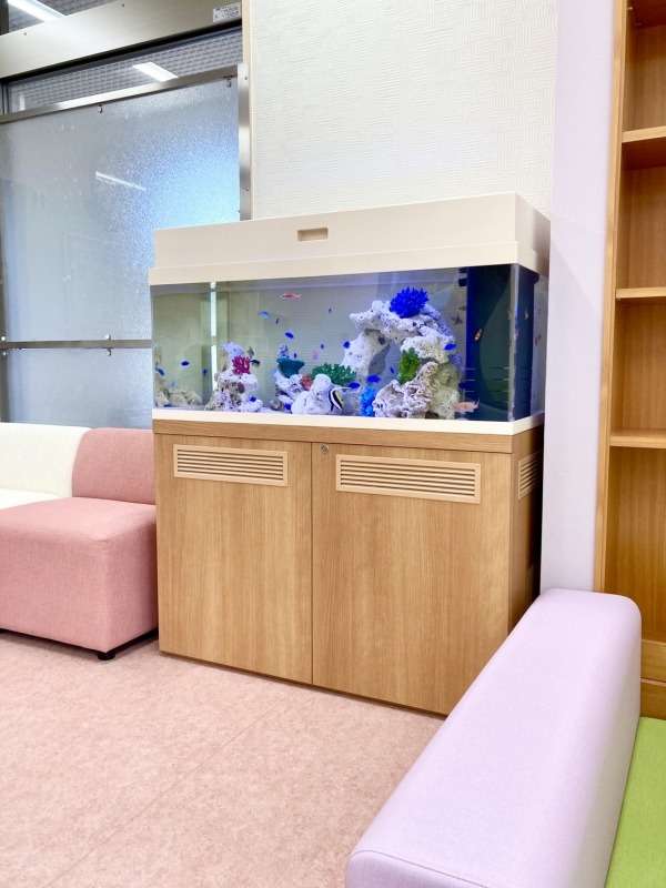 待合室に設置した110センチの海水魚水槽