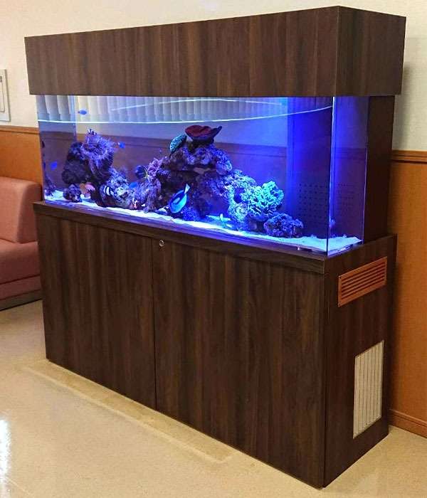 待合室に設置した150センチ無脊椎水槽
