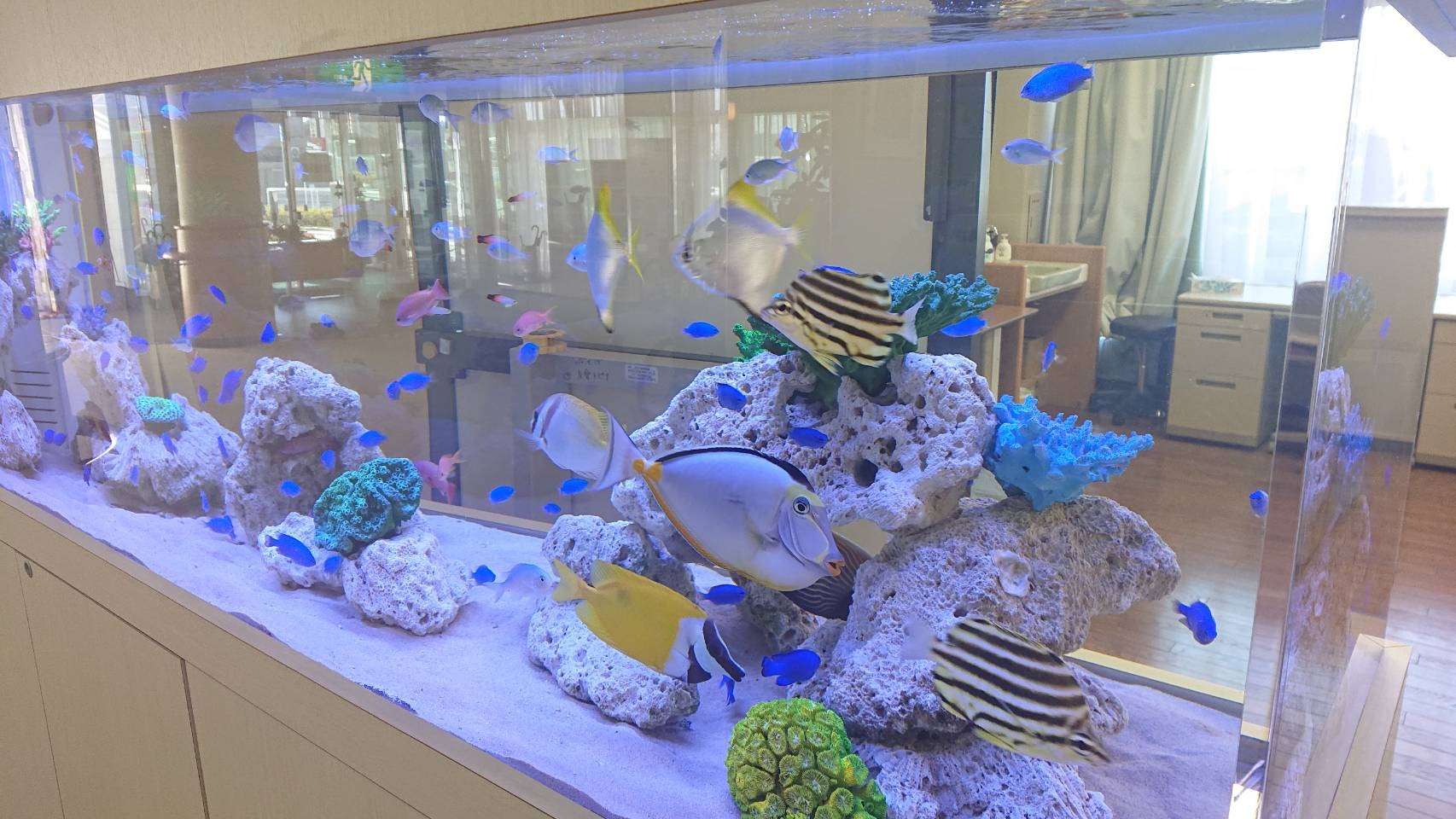 株式会社ジャパンハンドコートマリンズ