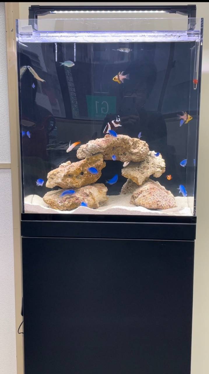 個人向け小型水槽