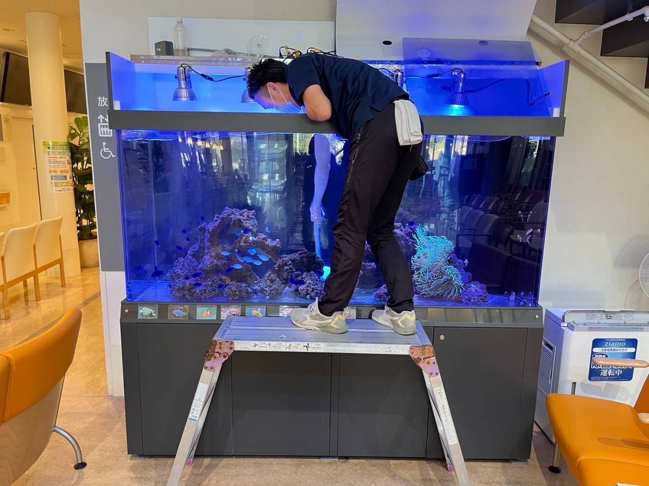水槽メンテナンス