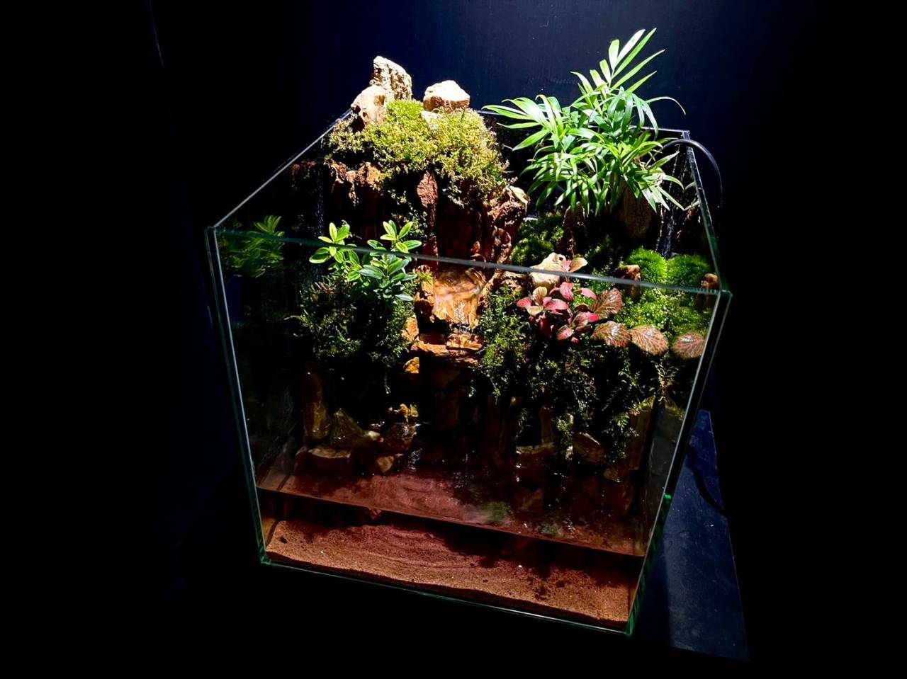 アクアテラリウムに必要なアイテムって？