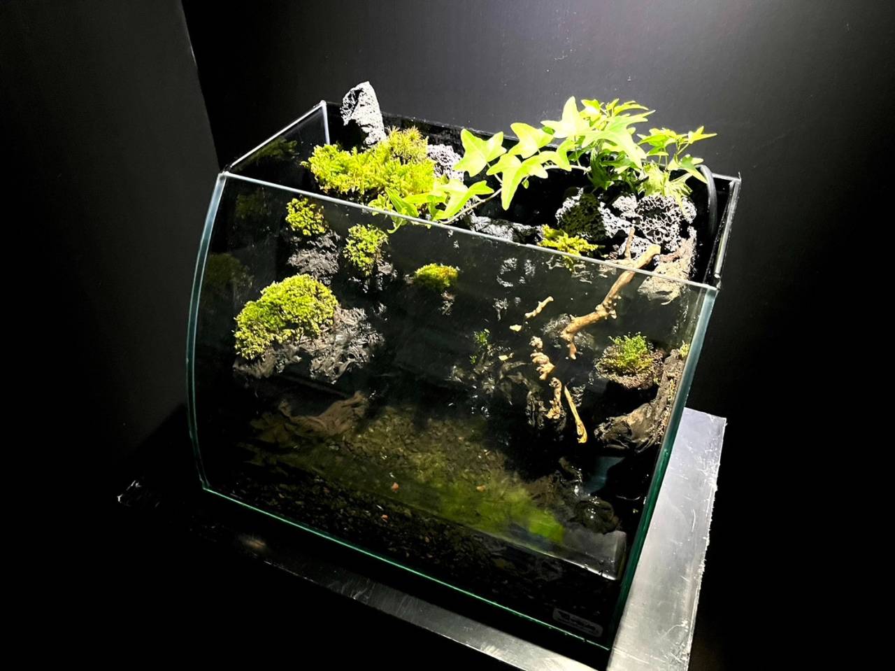 アクアテラリウムの留意点