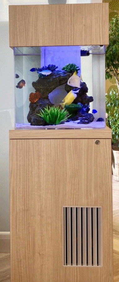 部屋に海水魚水槽を置くとこんな良いことが‼