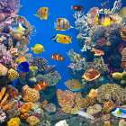 設置までの流れ