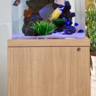 部屋に海水魚水槽を置くとこんな良いことが‼